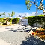 V3 Soliveira- Casas & Papeis