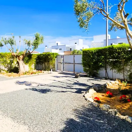 V3 Soliveira- Casas&papéis