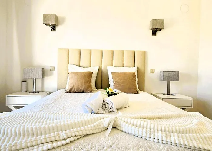 V3 Soliveira- Casas & Papeis